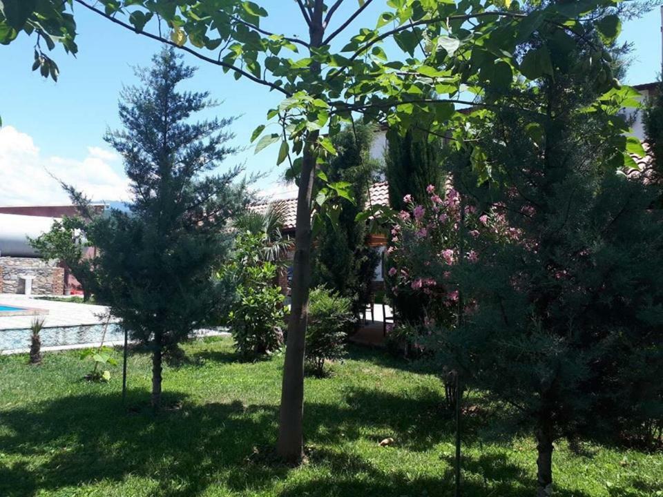 Shaloshvili'S Cellar Hotel Shilda Exterior foto